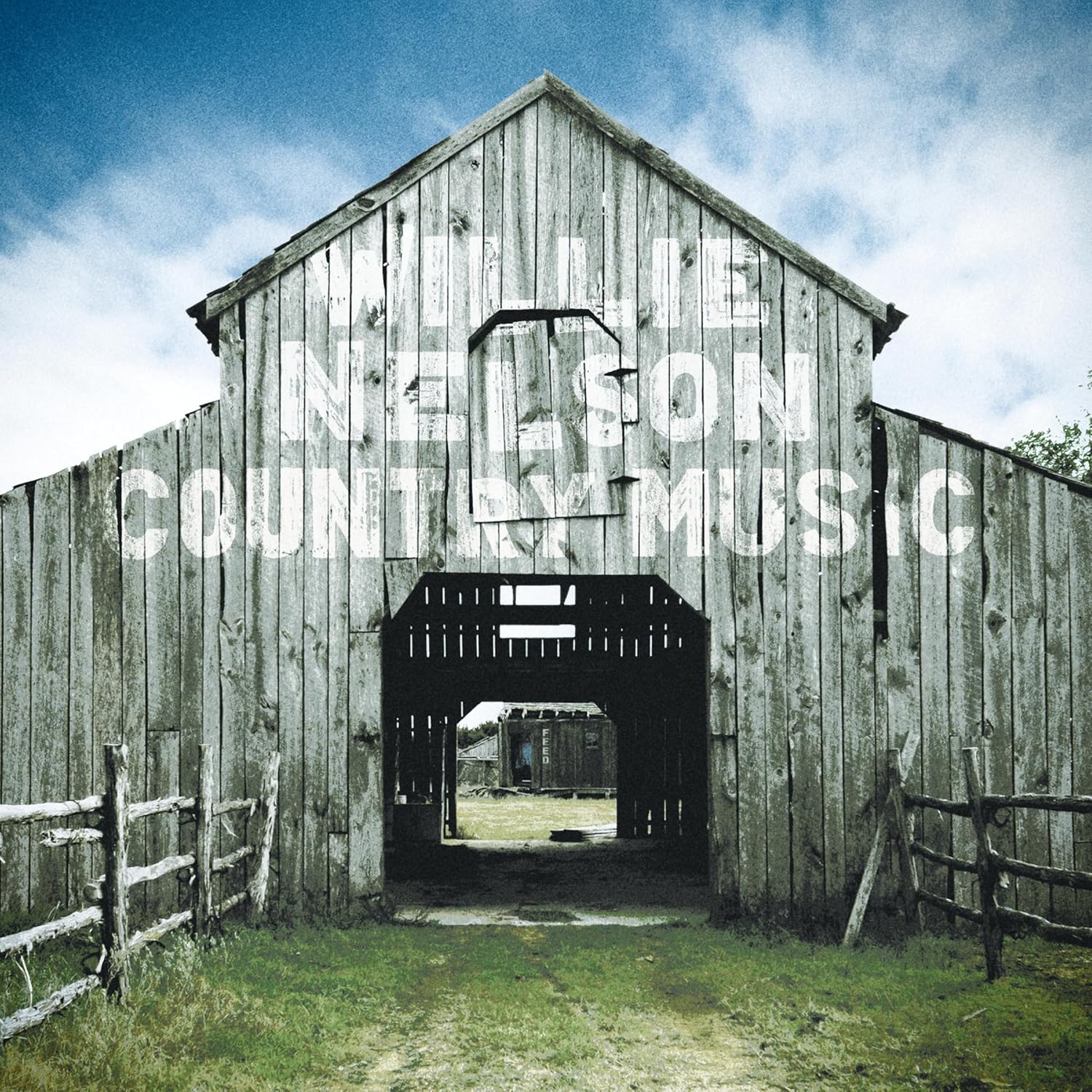 Willie Nelson Country Music