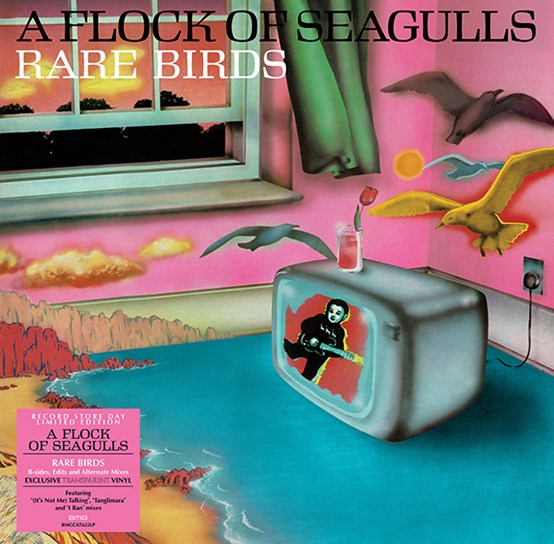 Flock Of Seagulls B Sides & Rarities RSD - Ireland Vinyl