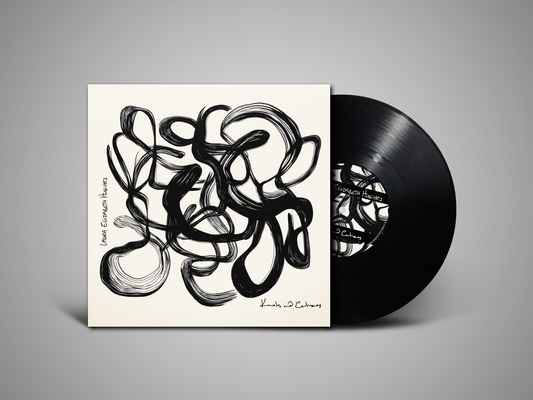 Laura Elizabeth Hughes "Knots And Echoes"