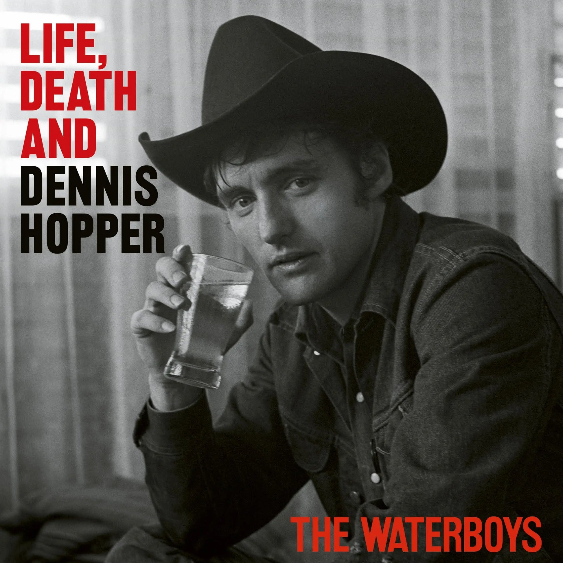 Waterboys Life, Death and Dennis Hopper (Psychedelic Waves LP)