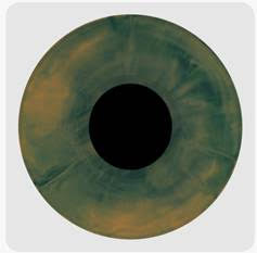 Melanie Martinez Hades Vinyl