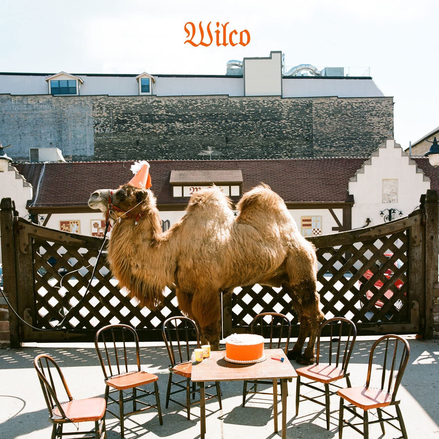 Wilco (The Album) Picture Disc
