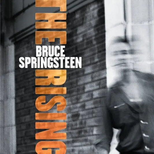 Bruce Springsteen The Rising VinylN