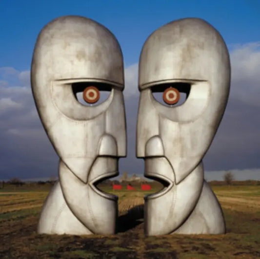 Pink Floyd The Division Bell VinylN