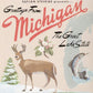 Vinyl album from 2003 from Sufjan Stevens filled with songs inspired by the state of Michigan.