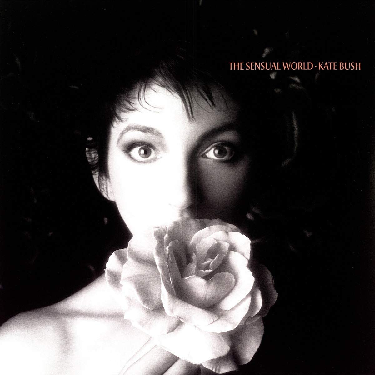 Sixth studio album on Vinyl by the Kate Bush featuring the singles 'The Sensual World', 'This Woman's Work' and 'Love and Anger'.