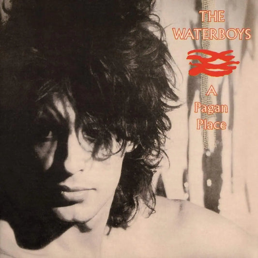 Waterboys A Pagan Place