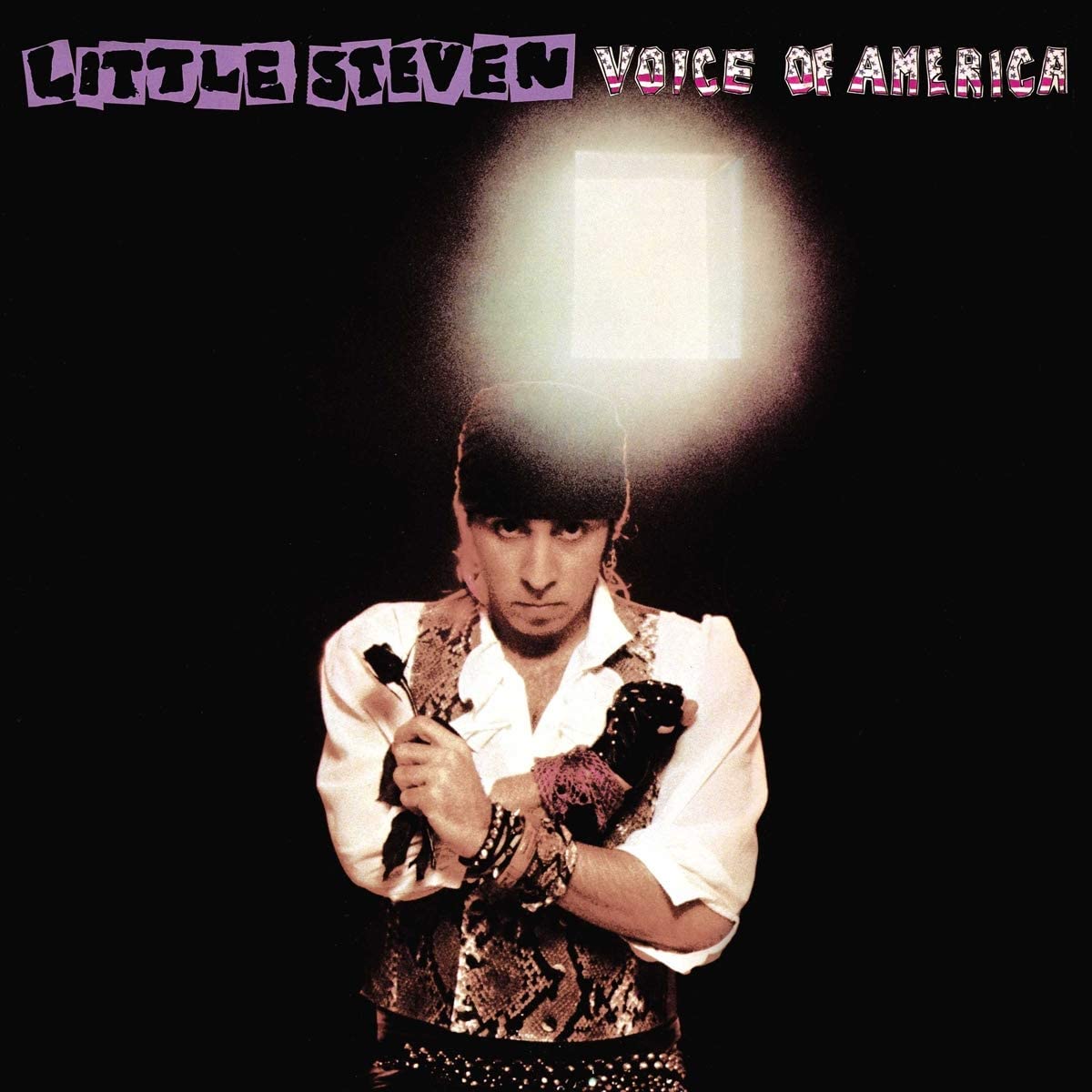 Little Steven Voice Of America