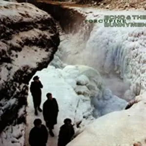 Echo and The Bunnymen Porcupine