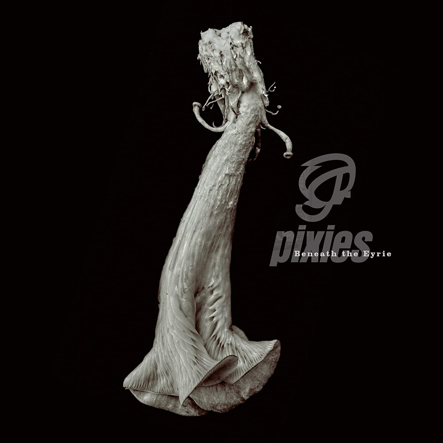 Seventh full-length album on Vinyl from the iconic Pixies. Sessions for the album took place at Dreamland Recordings near Woodstock, New York and unusually the band documented every minute of the process, which makes up a 12-part podcast.