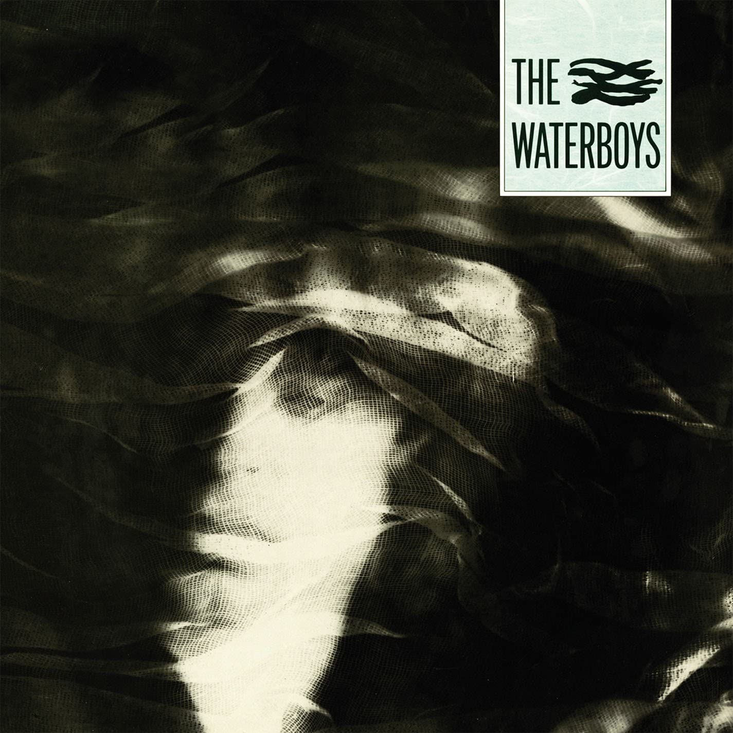 Waterboys The Waterboys