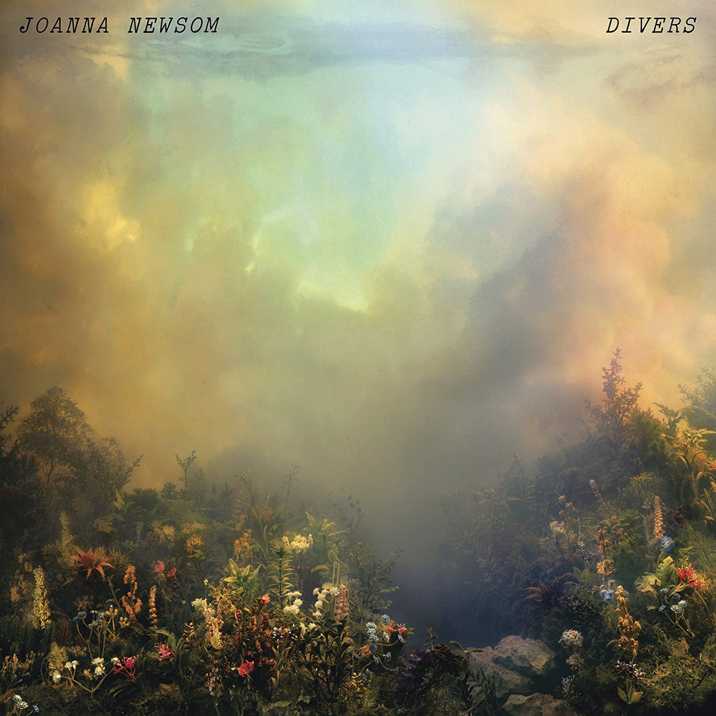 Joanna Newsom Divers - Ireland Vinyl