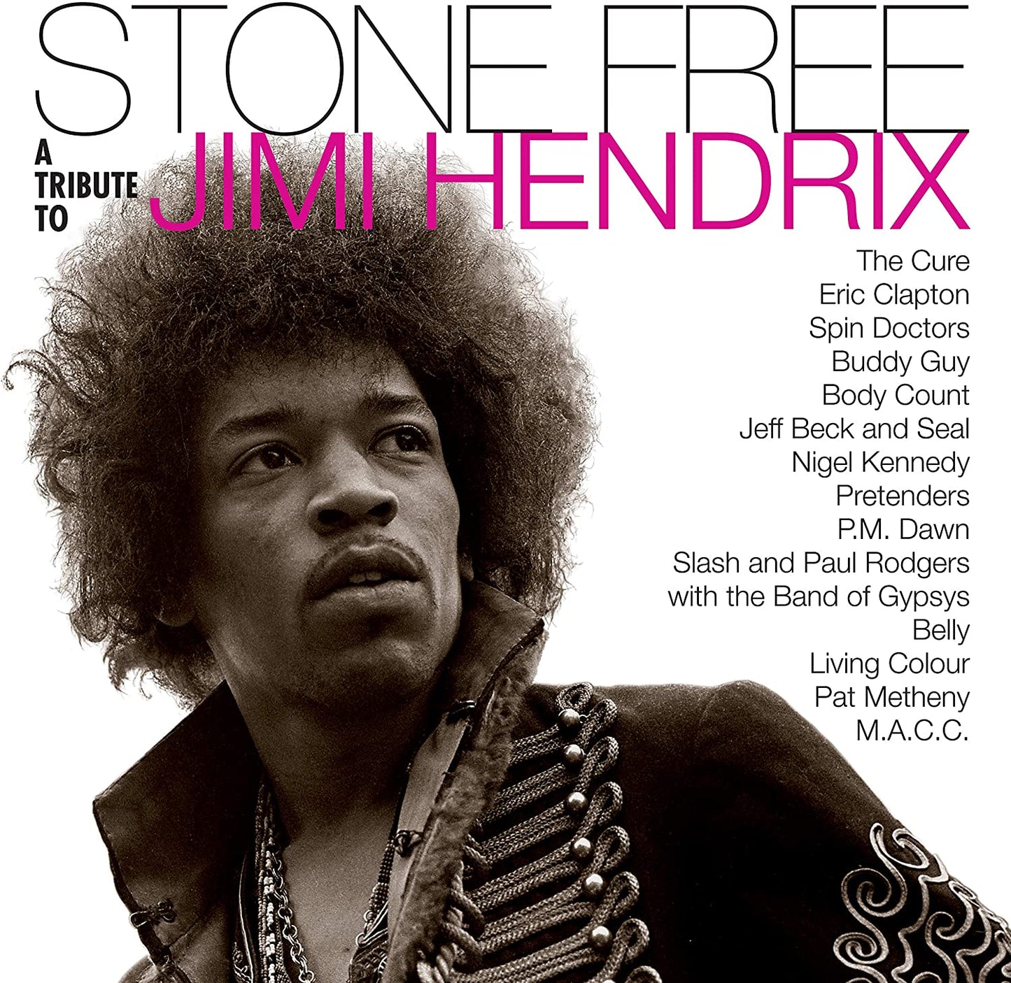 Jimi Hendrix Stone Free A Tribute