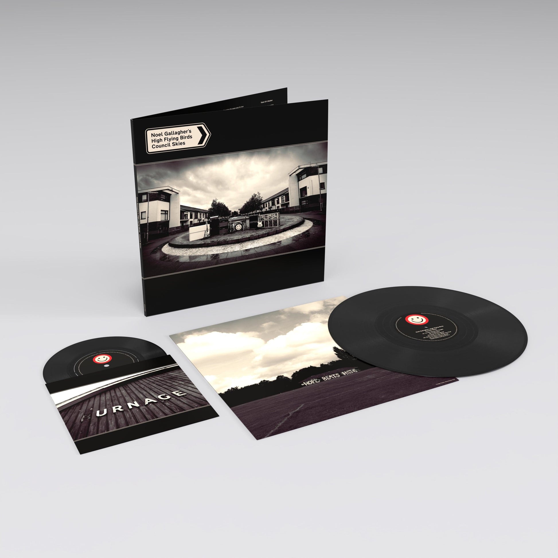 Noel Gallagher Council Skies - Ireland Vinyl