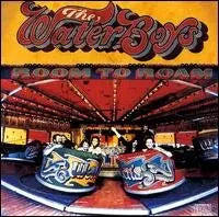 Waterboys Room To Roam VinylN