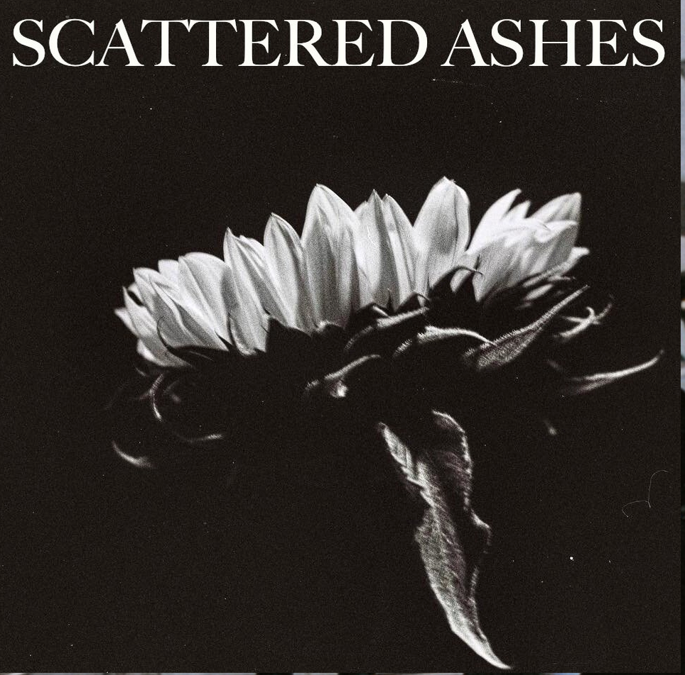 Scattered Ashes Parallel Lines - Ireland Vinyl