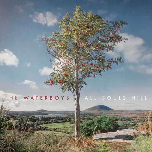 Waterboys All Souls Hill - Ireland Vinyl