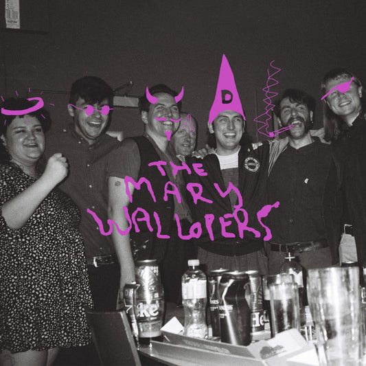 Mary Wallopers The Mary Wallopers - Ireland Vinyl