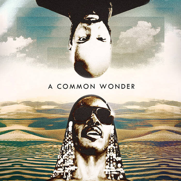 A Common Wonder (Common Vs Stevie Wonder) - Ireland Vinyl