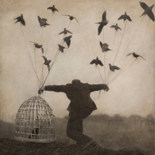 Much anticipated second album on Vinyl from The Gloaming.